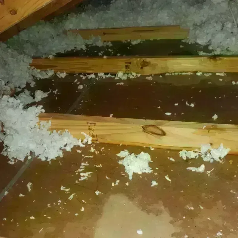 Attic Water Damage in Calhoun County, IA