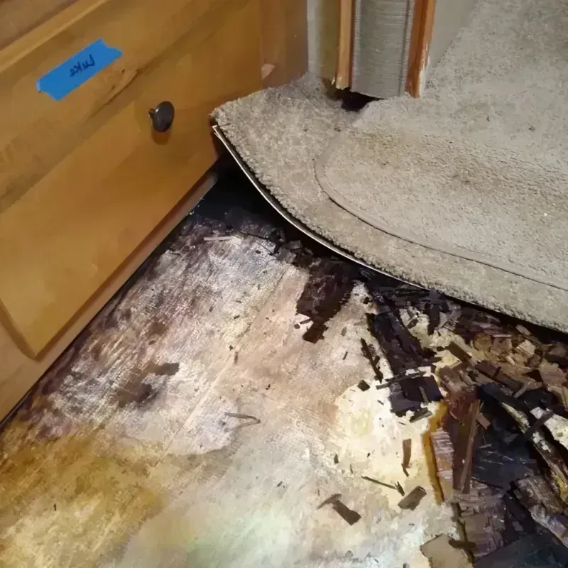 Wood Floor Water Damage in Calhoun County, IA